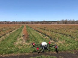Аграриям впервые с начала войны разрешили пользоваться сельскохозяйственными дронами