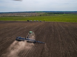 В Украине прогнозируют изменение структуры посевов в пользу менее затратных культур