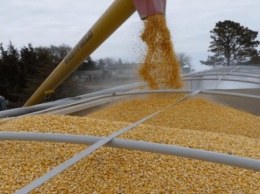Экспорт украинского зерна в мае составил почти 650 тыс. тонн