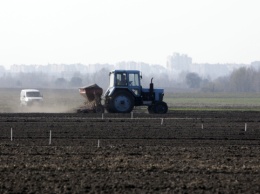 В Черновцах передали 100 гектаров земли под посевную, чтобы предотвратить продовольственный кризис