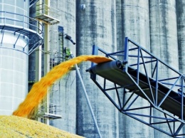 Украина при любых обстоятельствах будет оставаться на рынке зерна - Качка
