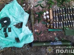 Полиция нашла на Киевщине спрятанное россиянами оружие