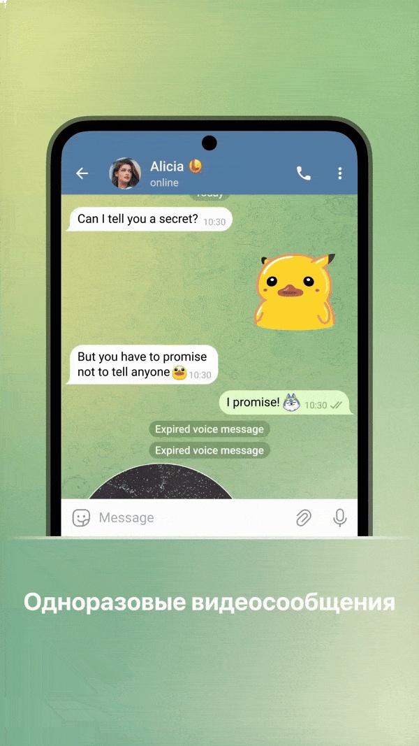 Telegram добавил одноразовые голосовые и видеосообщения