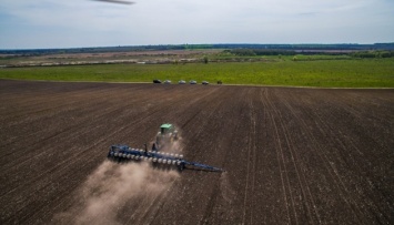 В Украине прогнозируют изменение структуры посевов в пользу менее затратных культур