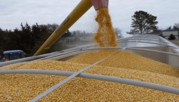 Украина экспортирует по суше около 1,5 миллиона тонн зерна в месяц