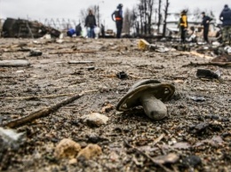 В Украине от действий российских захватчиков погиб 21 ребенок и 55 пострадали
