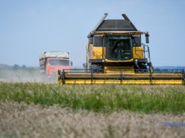В Украине создают Координационный совет по логистике в сельском хозяйстве