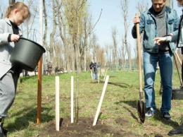 В Кропивницком взорвали деревья в честь 10 городов-героев