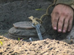 Посевную на Черниговщине задерживает процесс разминирования земель