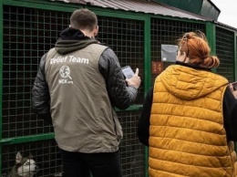 Режиссер «Настоящего детектива» Фукунага передал корм для животных харьковского приюта