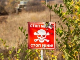 Украинцы отправили уже более 10 тысяч сообщений о взрывоопасных объектах