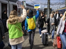 В Нидерландах всего за месяц нашли работу более 4000 беженцев из Украины