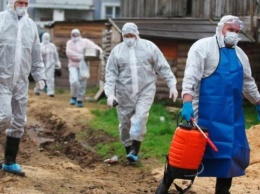 В россии готовятся к эпидемии холеры в приграничных с Украиной областях - разведка
