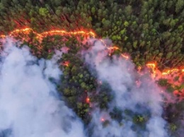 Россия в огне: лесные пожары почти во всех регионах, есть жертвы