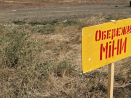 В Киевской области местный житель подорвался на российской мине