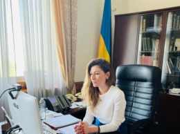 Джапарова провела видеовстречу с участниками Крымской платформы