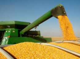 В Польше считают значительным вызовом изменение путей транспортировки украинского зерна