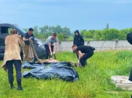 На Киевщине обнаружили тела ще двух мирных жителей, убитых россиянами