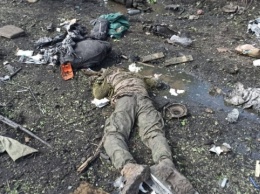 Украинские военные ликвидировали подразделение псковских десантников