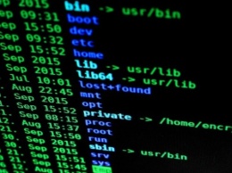 Anonymous объявили кибервойну российской хакерской группировке