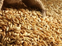 Аграрии Винницкой области готовы экспортировать около 1,75 миллиона тонн зерна