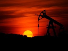 Франция ищет альтернативу российской нефти в ОАЭ