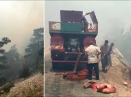 В турецкой Анталии горел лес