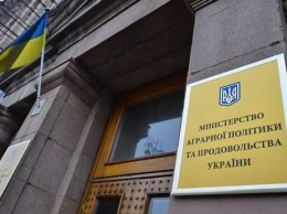 В Украине зарегистрировано 102,3 тысячи земельных соглашений - Минагрополитики