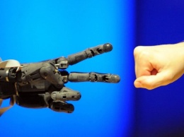 В Японии создали «живую человеческую кожу» для покрытия роботов