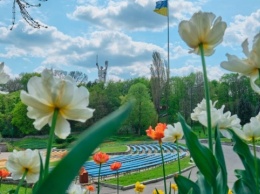 Главный флаг Украины завтра приспустят для замены полотна - КГГА