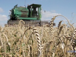 Война нанесла ущерб сельскому хозяйству Украины уже на $4,3 миллиарда
