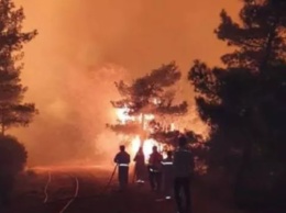 Лесной пожар в Турции: борьбу с огнем ведут 20 вертолетов и 14 самолетов