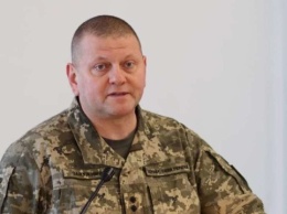 Залужный - Милли: Огневой паритет позволит стабилизировать ситуацию на Луганском направлении