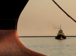 Блинкен об осмотре рф грузовых судов с зерном в Черном море: Это нелепость