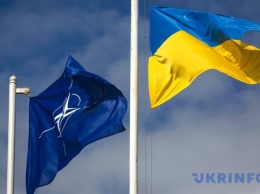 Украина не будет делать шагов для вступления в НАТО, потому что пока это бесперспективно - Жовква