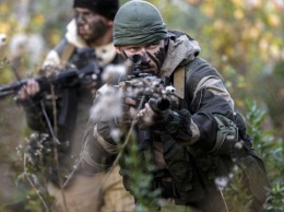 Военное руководство Украины стремится централизованно координировать партизан - ISW