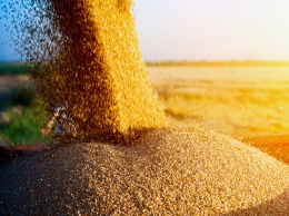 Песимістичний сценарій зернового експорту з України