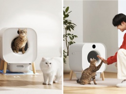 Xiaomi выпустила новый интеллектуальный кошачий туалет Xiaowen