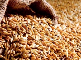 У Болгарії фермери виступили проти імпорту зерна з України: яка причина