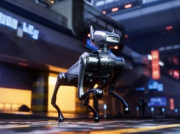 Tecno представила робо-собаку и другие новинки на Computex 2024