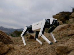 В Китае представили робопса с ИИ