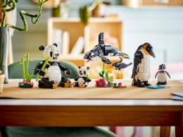 Конструктори LEGO як інструмент розвитку дитини