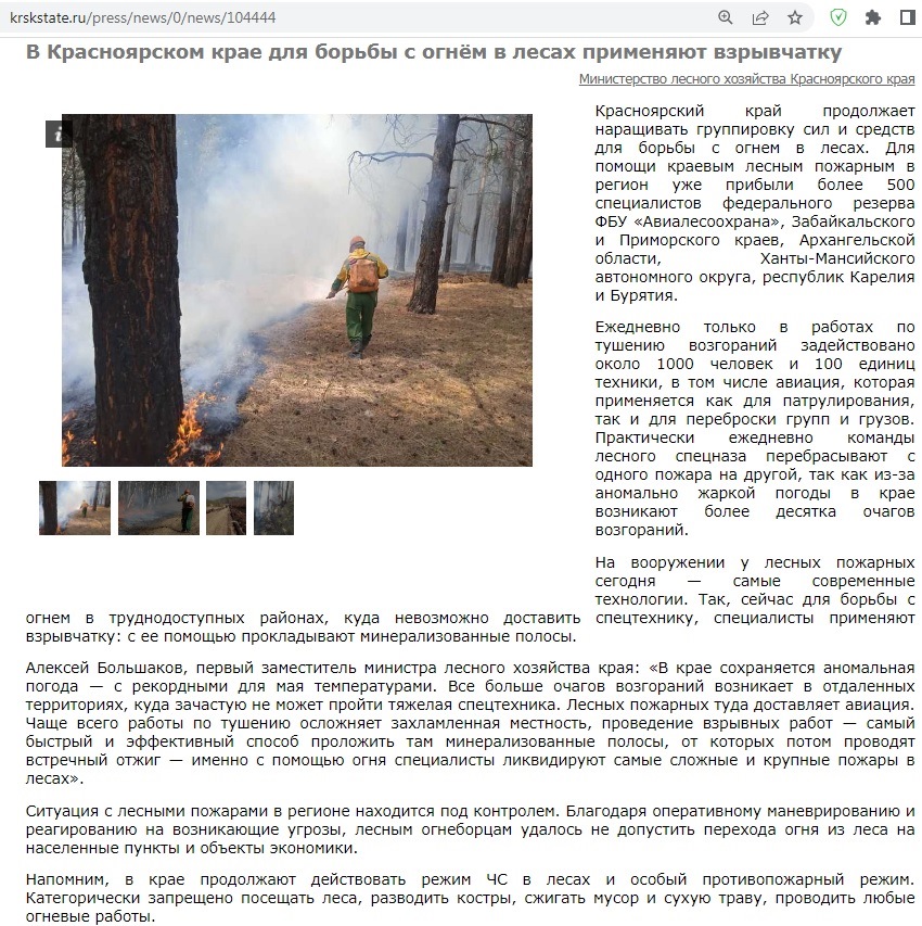 В россии лесные пожары за неделю разрослись в 2,5 раза