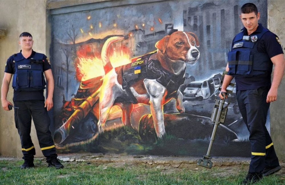 Теперь и в Ужгороде: пес Патрон бьет рекорды по количеству муралов