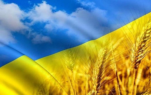 Патріотичні символи flag.ua: гідність, єдність та сила