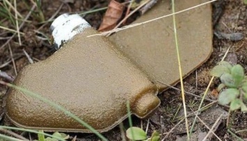 Украинцев предупреждают об опасности разбрасываемых врагом кассетных мин