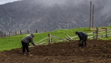 На период военного положения в Украине упростят оборот сельхозземель