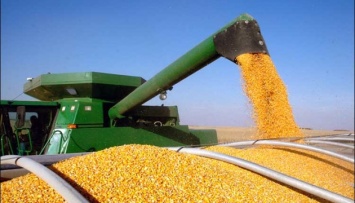Украина не планирует ограничивать экспорт некоторых видов аграрной продукции - Минагрополитики