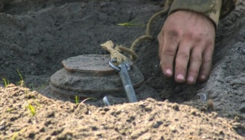 Посевную на Черниговщине задерживает процесс разминирования земель