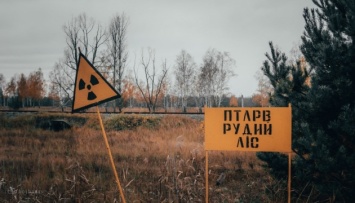 В Чернобыльской зоне изъяли 21 тысячу взрывоопасных предметов